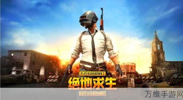 绝地求生深度攻略,十大常见错觉破解与资源管理秘籍