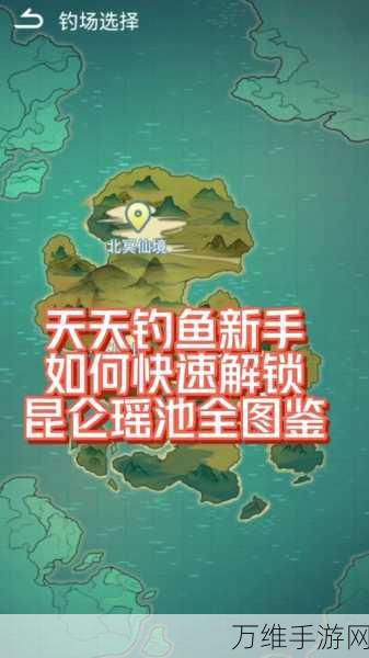 天天钓鱼最新版,极致有趣的钓鱼之旅