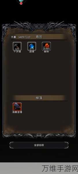 地下城堡2终章攻略,解锁终极挑战,征服黑暗深渊