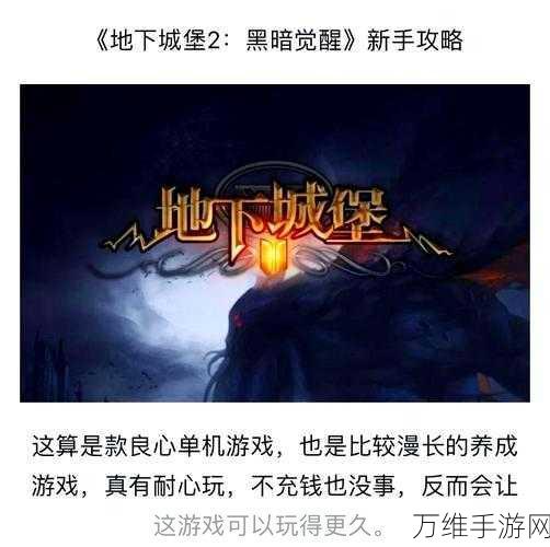 地下城堡2终章攻略,解锁终极挑战,征服黑暗深渊
