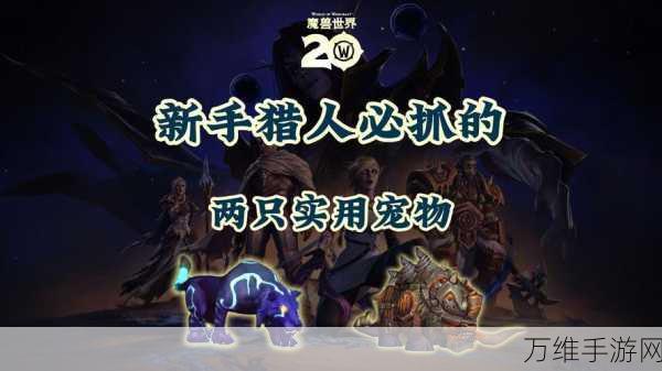 魔兽世界手游版,揭秘小吠宠物获取全攻略,助你轻松抱得萌宠归!