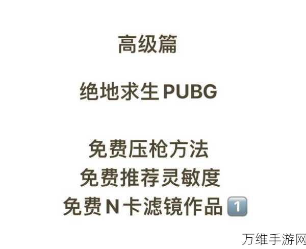 绝地求生高手秘籍,掌握这些技巧,让你提前一步锁定敌人!