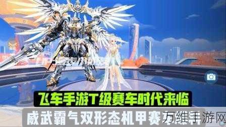 QQ飞车手游,点卷高效消费攻略,解锁顶级赛车与炫酷装扮