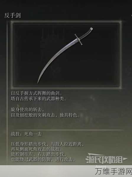 艾尔登法环DLC揭秘,石鞘剑获取攻略全解析