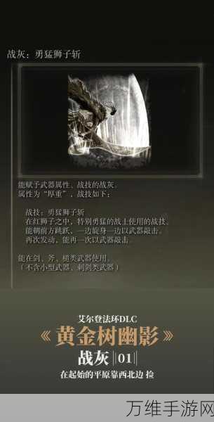 艾尔登法环DLC揭秘,石鞘剑获取攻略全解析