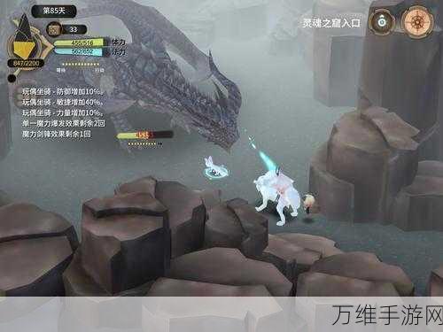 解锁魔女之泉3珍稀宠物，小沙漠狐狸获取攻略