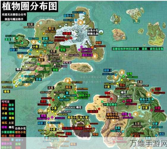 手游秘籍,揭秘创造与魔法红蓝莲花刷新机制与宝藏地点