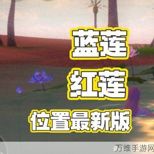手游秘籍,揭秘创造与魔法红蓝莲花刷新机制与宝藏地点