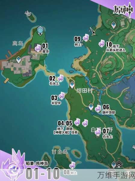 原神攻略秘籍,海祗岛雷神瞳高效获取指南