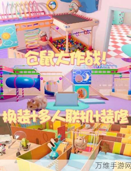 萌趣无限!仓鼠旅馆,打造梦幻酒店之旅