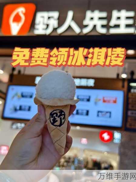 冰淇凌勺大师最新版,萌趣休闲之旅等你开启