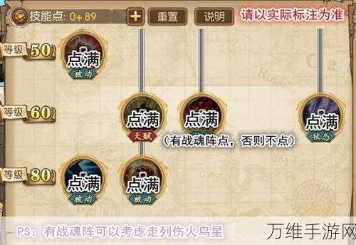 航海王,燃烧意志佐罗技能加点深度解析与实战攻略