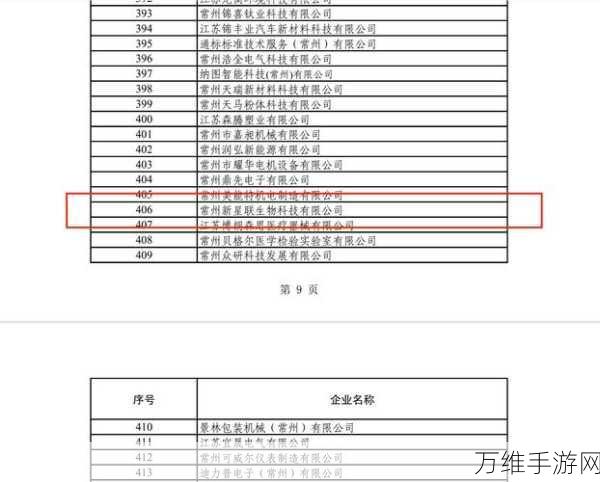 手游界新星闪耀！大冲能源荣获2024年度综合能源服务突出贡献奖，揭秘其背后的创新之路