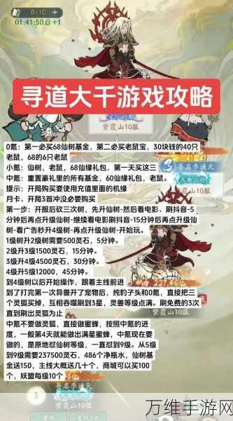 寻道大千,勇闯仙道通关秘籍与实战攻略