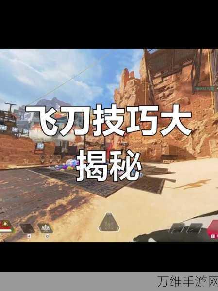 飞刀格斗最新版,刺激有趣的休闲闯关大揭秘