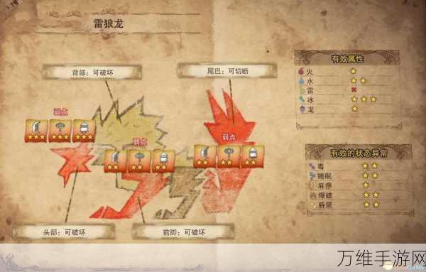 怪物猎人深度攻略,揭秘火龙一家的弱点与战斗策略