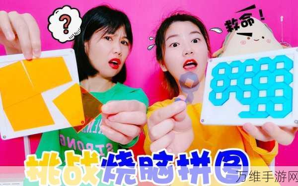 挑战烧脑极限!白痴测试 2 安卓版等你来战