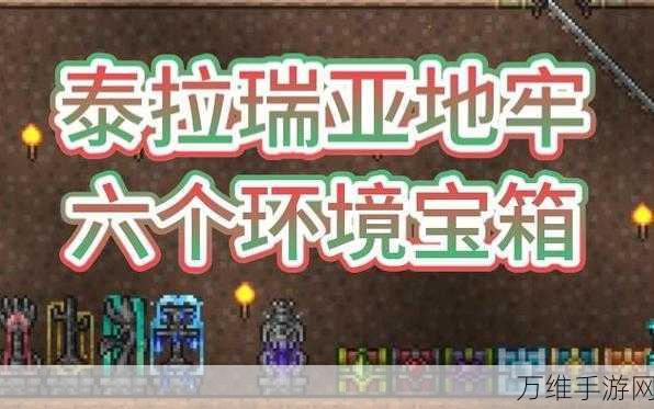 泰拉瑞亚深度探索,地牢宝箱解锁全攻略与技巧揭秘