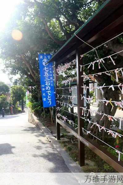 收纳物语安卓新版,整理与解谜的奇妙休闲之旅