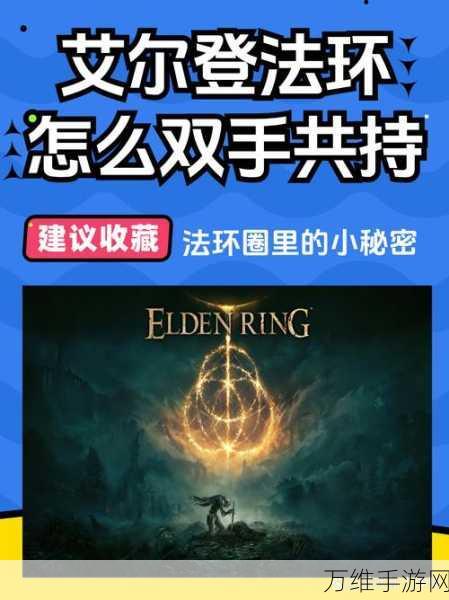 艾尔多战记斗士圆环深度挑战指南,解锁战斗新境界