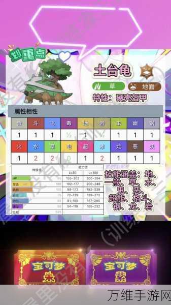 石器时代M深度攻略，乌龟系宠物加点秘籍与实战技巧