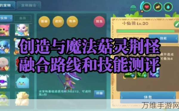 手游攻略，速刷创造与魔法魔晶的高效技巧揭秘