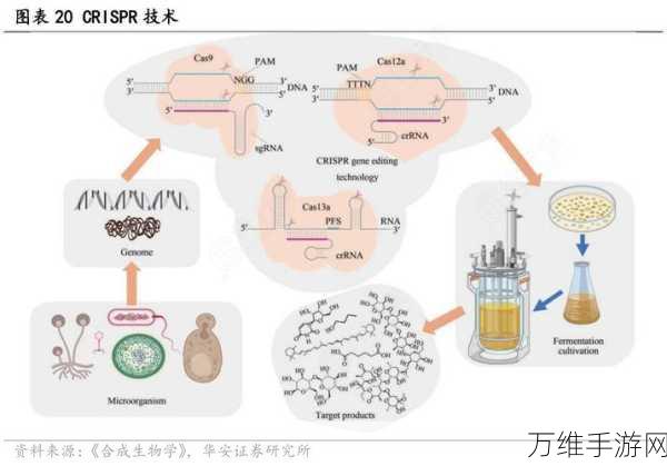 派兹互连获亿元级融资，加速布局手游板级EDA技术革新