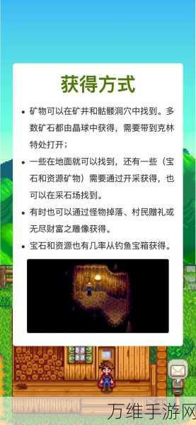 科罗布斯神秘商店大揭秘，星露谷物语中的珍稀宝藏