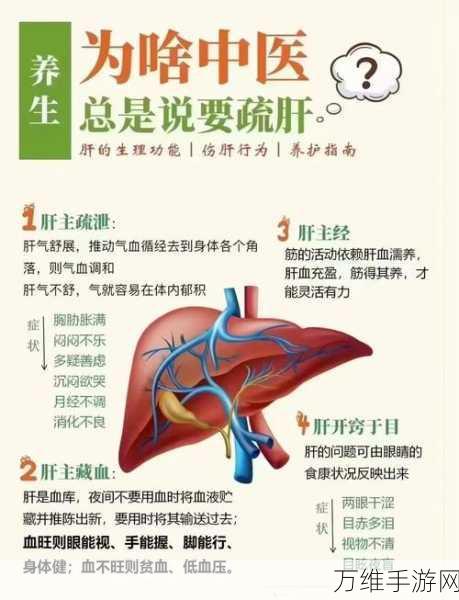 商汤医疗携手CHESS肝脏健康联盟，共创手游健康新篇章