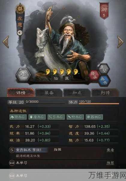 三国志战略版，深度解析武将布局，智慧策略称霸乱世