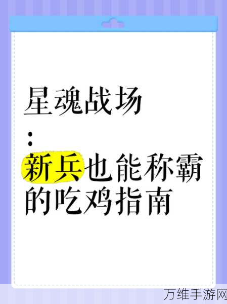 攻城掠地小黑辅助V393震撼发布，解锁全新策略玩法，称霸战场不是梦！