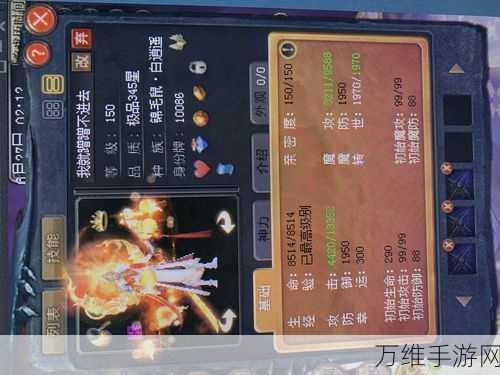 魔域法师魂兽全揭秘,解锁最强战斗伙伴的奥秘
