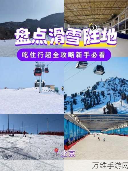 畅玩滑雪世界，休闲手游的极致体验与攻略秘籍