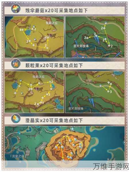 原神肉龙掌全攻略,解锁用途与96个采集点高效路线