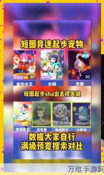 QQ飞车手游,揭秘银角大王宠物,助力赛道称霸全攻略