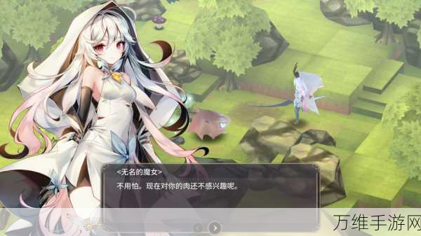 魔女之泉3深度攻略,揭秘薛佳乐人灵魂获取全流程