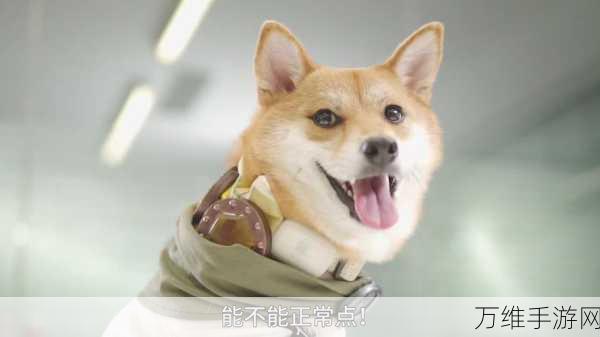 猎魂觉醒,揭秘哈奇最爱礼物与好感速升秘籍