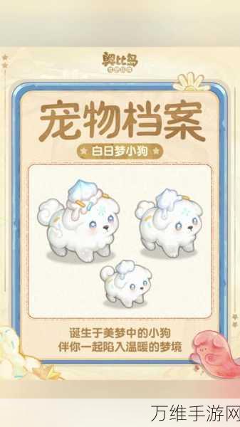 奥比岛梦想国度，揭秘宠物家园解锁秘籍，打造梦幻宠物乐园！