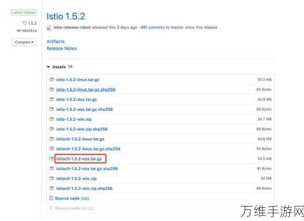 Istioctl实战指南，精通Istio配置更新的艺术