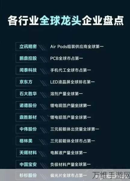 手游界新荣耀！立讯精密荣获2024年度手游硬件多元化创新供应商大奖