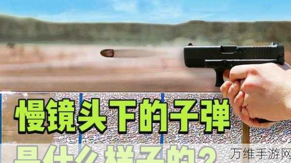 子弹派对 2 进攻免费版，畅享刺激射击之旅