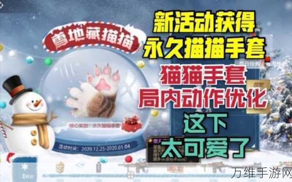 穿越火线手游,猫猫手套终极获取秘籍,赛事细节与实战技巧大揭秘