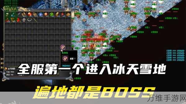 传奇世界深度攻略,全面解析助你轻松通关