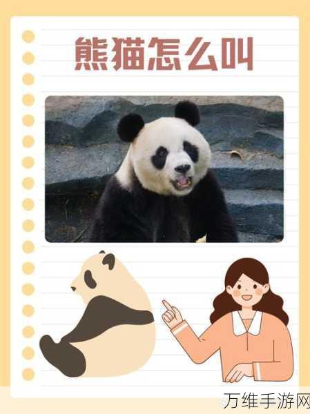 太极熊猫深度评测,萌趣熊猫,独特体验引领手游新风潮
