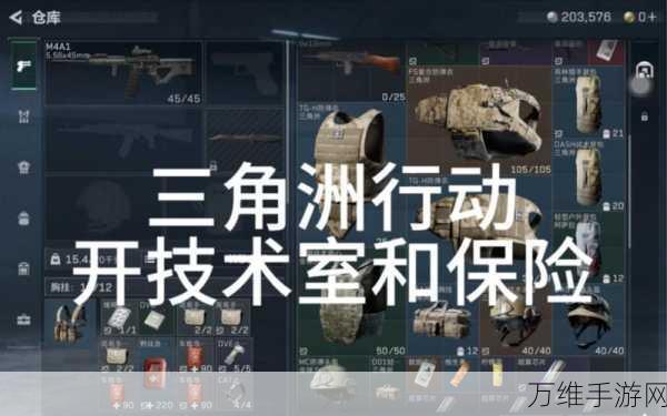 三角洲行动爆仓危机，应对策略与实战技巧大揭秘