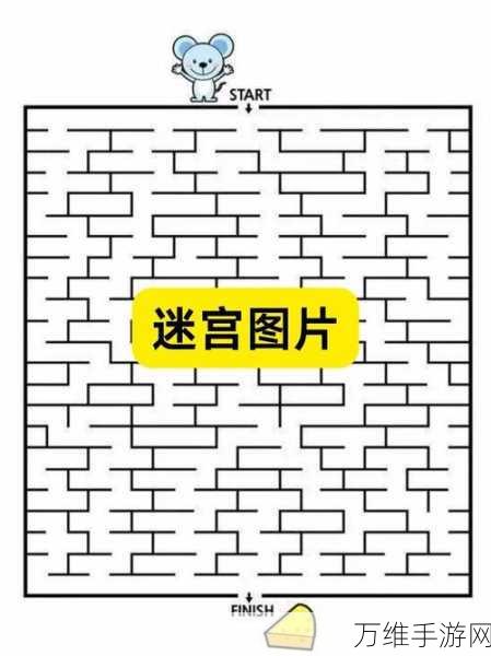 全面解析不思议迷宫赏金攻略，迷宫探险家必备指南