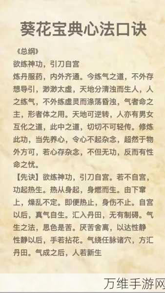 大侠立志传祈禳大法秘籍，解锁绝世武功的终极攻略