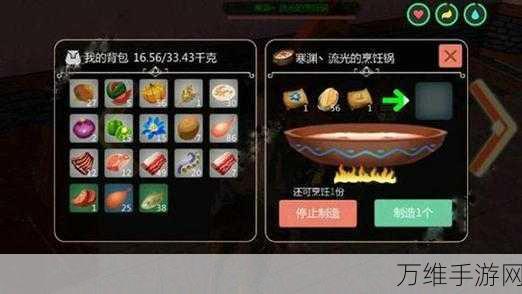 手游攻略，揭秘创造与魔法中黑马饲料的独家制作秘籍