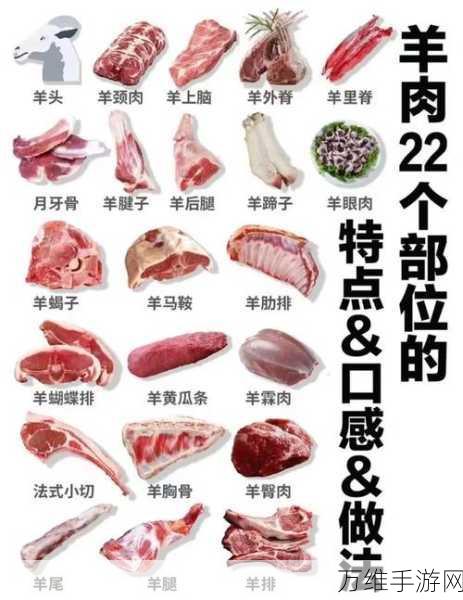 我的世界生羊肉全攻略，用途、烹饪方法及趣味玩法揭秘