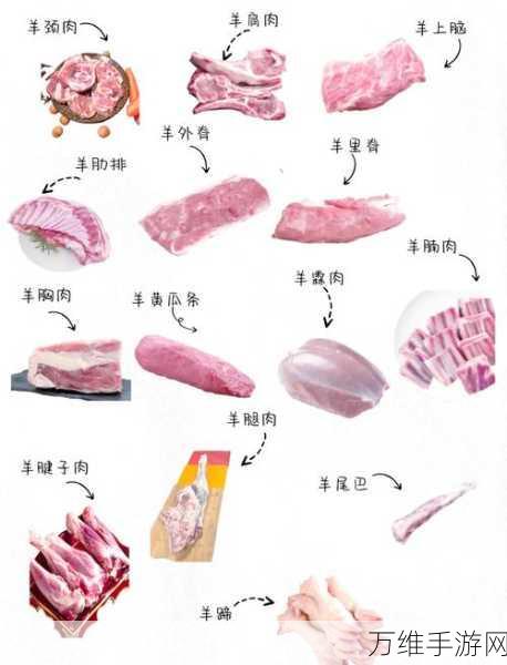 我的世界生羊肉全攻略，用途、烹饪方法及趣味玩法揭秘